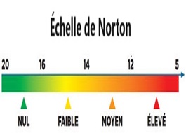 Échelle de Norton